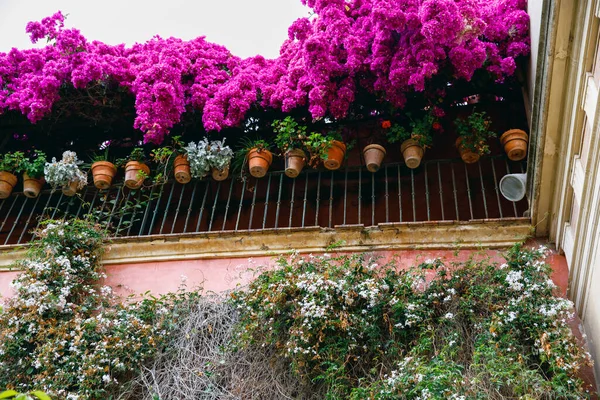 La Casa de Pilatos llamada Casa de Pilatos en Sevilla, España. Su arquitectura es una mezcla original de estilo renacentista italiano y mudéjar andaluz. — Foto de Stock