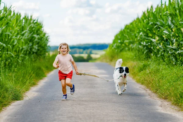 Jolie petite fille d'âge préscolaire qui va se promener avec un chien de famille dans la nature. Joyeux enfant souriant s'amuser avec chien, courir et étreindre. Joyeux famille à l'extérieur. Amitié et amour entre animaux et enfants — Photo
