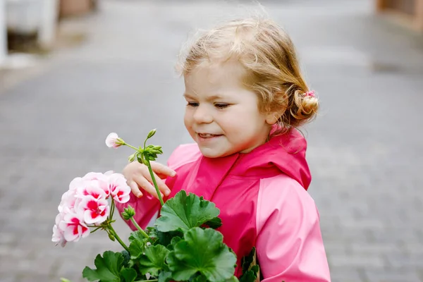 かわいいブロンドの幼児の女の子は、庭にゼラニウムの花の種や苗を植えます。寒い春の日に幸せな健康な赤ちゃん家庭菜園で両親を助ける. — ストック写真