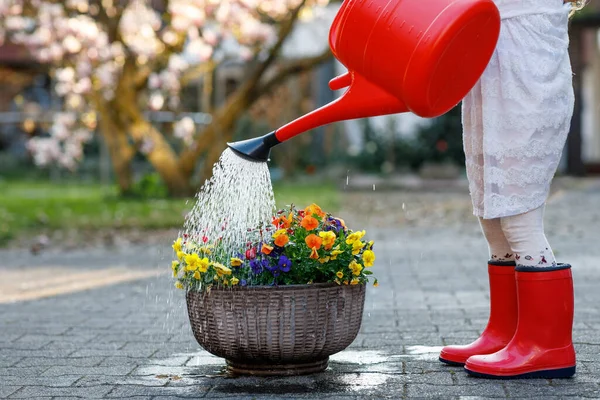 Close-up van het kleine kind water geven bloemen met blik. Kleutermeisje met rode kauwgum laarzen. Lente en zomer, tuin, tuinieren, helpen concept. — Stockfoto