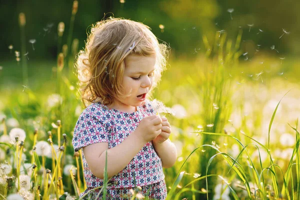 Adorable linda niña soplando en una flor de diente de león en la naturaleza en el verano. Feliz niño hermoso niño sano con blowball, divirtiéndose. Luz de puesta de sol brillante, niño activo. — Foto de Stock