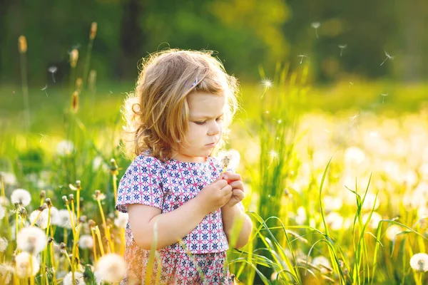 Adorable linda niña soplando en una flor de diente de león en la naturaleza en el verano. Feliz niño hermoso niño sano con blowball, divirtiéndose. Luz de puesta de sol brillante, niño activo. — Foto de Stock