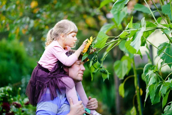 Liten förskola flicka sitter på axeln av far med stor solros i inhemsk trädgård. Lycklig familj, barn och pappa, medelålders man som odlar blommor. Barn och ekologi, miljökoncept. — Stockfoto