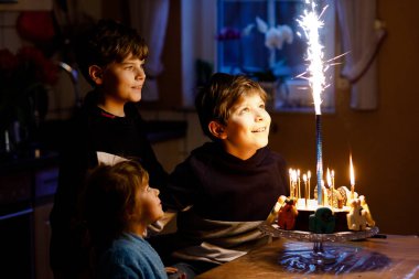 İki güzel çocuk, küçük anaokulu çocuğu ve küçük kız doğum gününü kutluyor ve ev yapımı pastaya mum üflüyor. Kardeşler için doğum günü partisi. Üç mutlu çocuk.