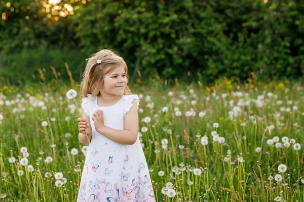 Entzückende niedliche kleine Vorschulmädchen bläst auf einer Löwenzahnblume auf die Natur im Sommer. Glückliche gesunde schöne Kleinkind mit Pusteblume, Spaß haben. Helles Sonnenuntergangslicht, aktives Kind. — Stockfoto