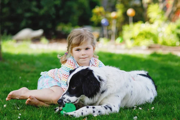 Mignon petit tout-petit fille jouer avec chien de famille dans le jardin. Joyeux enfant souriant s'amuser avec le chien, embrasser jouer avec la balle. Joyeux famille à l'extérieur. Amitié entre animaux et enfants — Photo