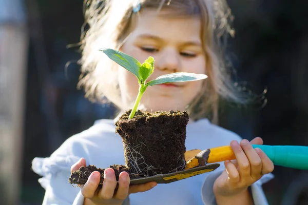 Close-up of little toddler girl holding garden shovel with green plants seedling in hands. Cute child learn gardening, planting and cultivating vegetables herbs in home garden. Ecology, organic food. — Stock Photo, Image