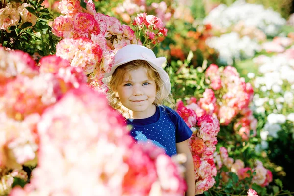 Portrait of little toddler girl in blossoming rose garden. Cute beautiful lovely child having fun with roses and flowers in a park on summer sunny day. Happy smiling baby. — Stock Photo, Image