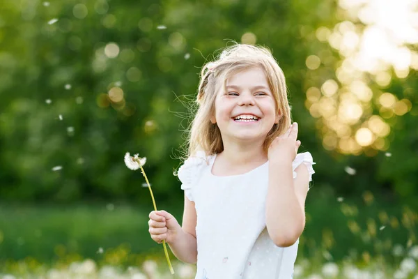 Roztomilé roztomilé malé školka dívka foukání na pampeliška květiny na přírodě v létě. Šťastné zdravé krásné batole dítě s foukačkou, baví. Jasný západ slunce, aktivní dítě. — Stock fotografie