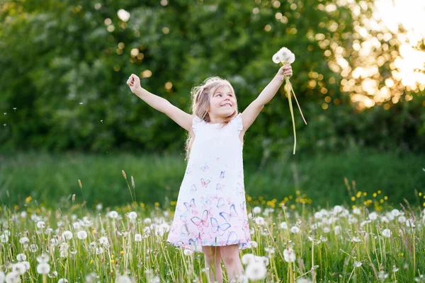 Urocza dziewczynka z przedszkola dmuchająca na kwiat mniszka lekarskiego na łonie natury latem. Szczęśliwy zdrowy piękny maluch dziecko z blowball, zabawy. Jasne światło zachodu słońca, aktywne dziecko. — Zdjęcie stockowe