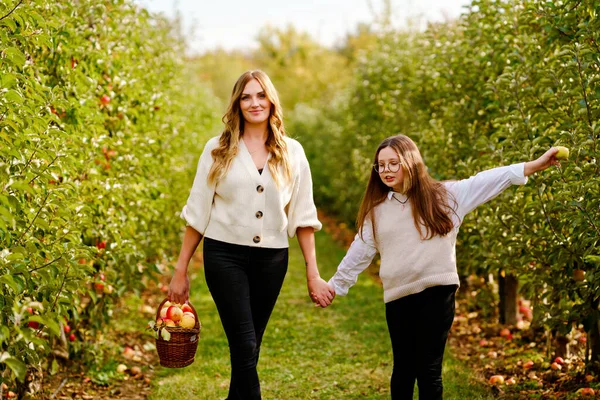 Happy school girl and beautiful mother with red apples in organic orchard. Happy woman and kid daughter picking ripe fruits from trees and having fun in garden. Harvest season for family. — Stock Photo, Image