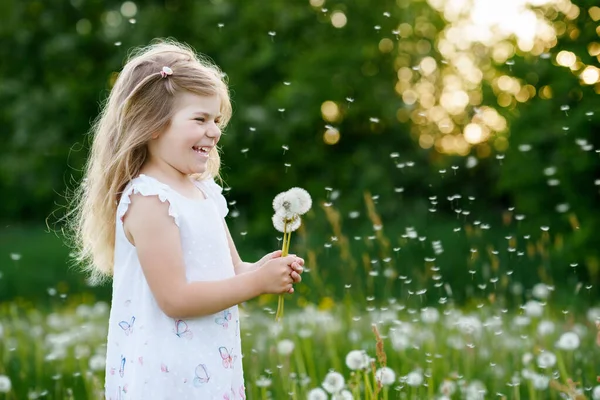 Aranyos kis óvodás lány, aki egy pitypang virágot fúj a természetre nyáron. Boldog egészséges, gyönyörű kisbabát szopással, szórakozással. Fényes naplemente fény, aktív gyerek. — Stock Fotó
