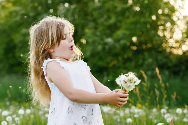 Urocza dziewczynka z przedszkola dmuchająca na kwiat mniszka lekarskiego na łonie natury latem. Szczęśliwy zdrowy piękny maluch dziecko z blowball, zabawy. Jasne światło zachodu słońca, aktywne dziecko. — Zdjęcie stockowe