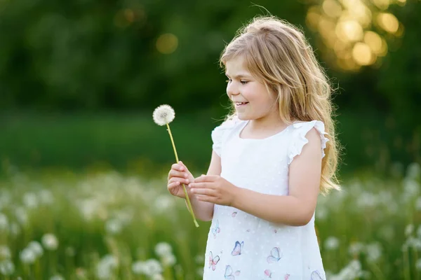 Adorável bonito menina pré-escolar soprando em uma flor de dente de leão na natureza no verão. Criança bonita saudável feliz com bola de sopro, se divertindo. Luz brilhante do pôr-do-sol, miúdo activo. — Fotografia de Stock