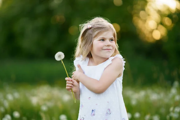 Adorável bonito menina pré-escolar soprando em uma flor de dente de leão na natureza no verão. Criança bonita saudável feliz com bola de sopro, se divertindo. Luz brilhante do pôr-do-sol, miúdo activo. — Fotografia de Stock