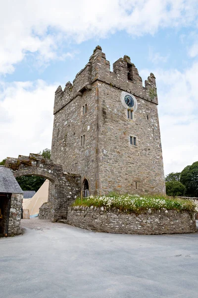 Древние Средневековые Руины Замка Уорд Северной Ирландии — стоковое фото