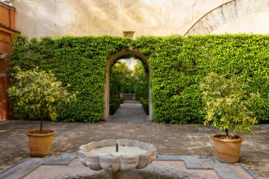 Endülüs 'te yaz mevsiminde Alcazar Seville Sarayı' nın içindeki güzel resmi halk bahçesi.