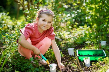 Küçük mutlu anaokulu kızı evcil bahçeye ayçiçeği tohumu ekiyor. Küçük çocuk bahçeciliği, ekmeyi, çiçek ve bitki yetiştirmeyi öğreniyor. Çocuklar ve ekoloji, çevre kavramı