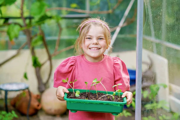 Malá Šťastná Školačka Sázející Sazenice Slunečnic Domácí Zahradě Dítě Batole — Stock fotografie