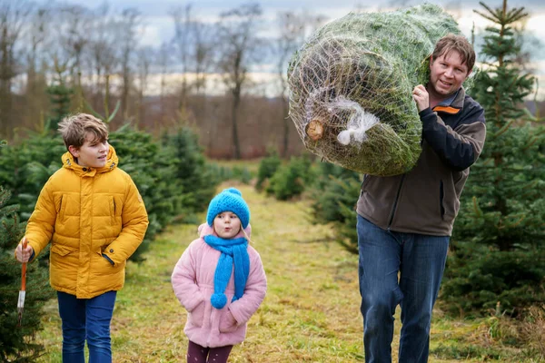 Happy Family Man Two Children Christmas Tree Fir Tree Cutting — Stockfoto