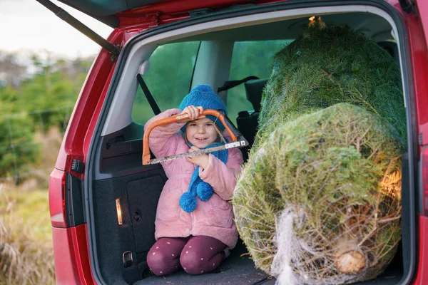 Imádnivaló Kislány Karácsonyfával Családi Autóban Boldog Egészséges Csecsemő Gyermek Téli — Stock Fotó