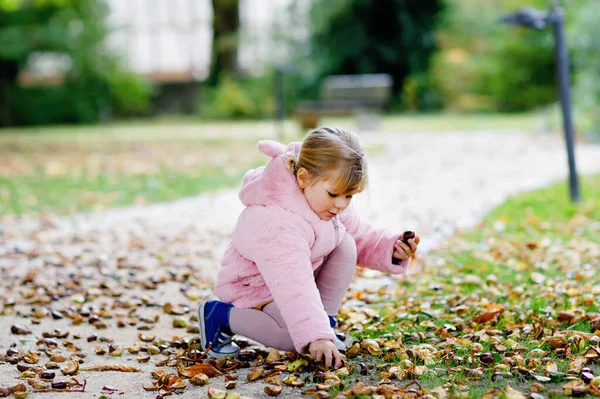 Söt Söt Liten Flicka Som Plockar Kastanjer Park Höstdagen Glada — Stockfoto