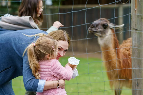 Dos Niñas Una Mujer Alimentando Alpacas Peludas Esponjosas Lama Feliz — Foto de Stock