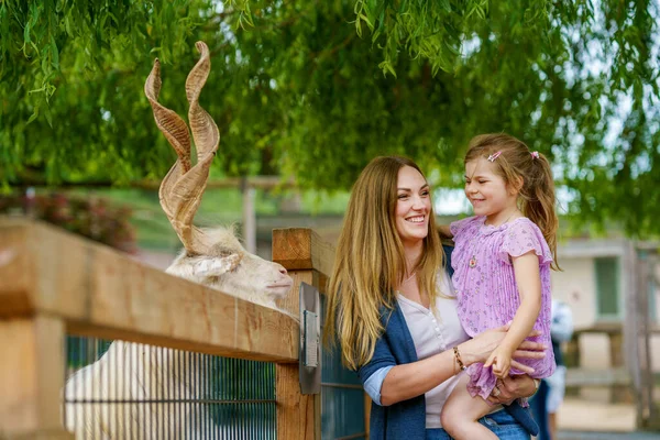 Little Preschool Girl Woman Feeding Goat Happy Excited Child Mother — Stock Photo, Image