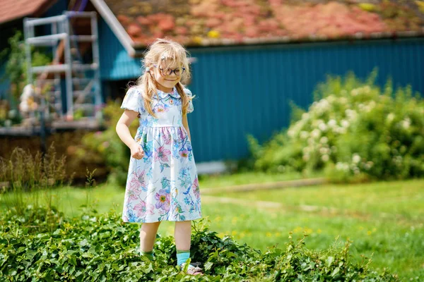 一个穿着蓝色衣服的快乐的蹒跚学步的小女孩的画像 金发碧眼的小孩望着摄像机笑着 健康快乐的孩子喜欢户外活动和玩耍 — 图库照片