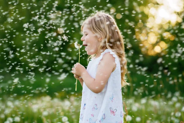 可爱可爱的学龄前小女孩夏天在大自然上吹着蒲公英花 快乐健康漂亮的幼儿与吹球 有乐趣 明亮的落日 活泼的孩子 — 图库照片