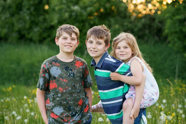 三个兄弟姐妹孩子的肖像 两个孩子兄弟男孩和一个可爱的小妹妹在花草甸上玩得很开心 健康快乐的家庭游戏 积极休闲的大自然 — 图库照片