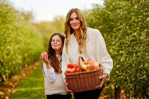 Chica Escuela Feliz Hermosa Madre Con Manzanas Rojas Huerto Orgánico —  Fotos de Stock
