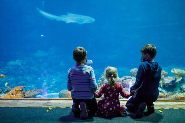 Dos Chicos Una Niña Visitando Juntos Acuario Del Zoológico Tres — Foto de Stock