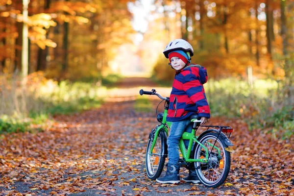 Menino Roupas Quentes Coloridas Outono Parque Florestal Dirigindo Uma Bicicleta — Fotografia de Stock