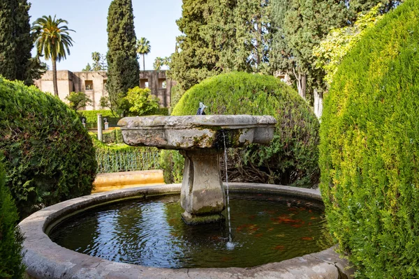 Beautiful Formal Public Garden Alcazar Seville Palace Summertime Andalusia — Stock Photo, Image