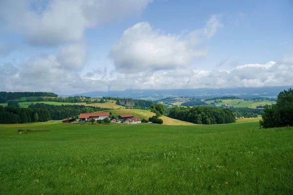 Panoramic View Beautiful Landscape Bavarian Alps Beautiful Flowers Famous Watzmann — Stock Photo, Image