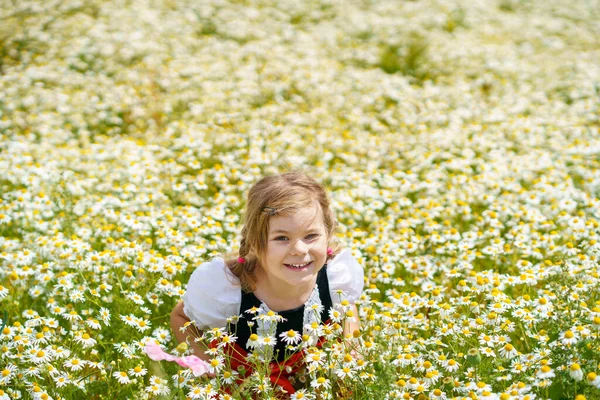 Little Preschool Girl Daisy Flower Field Cute Happy Child Red — Foto Stock