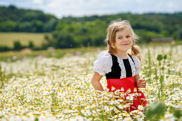 Little Preschool Girl Daisy Flower Field Cute Happy Child Red — Fotografia de Stock