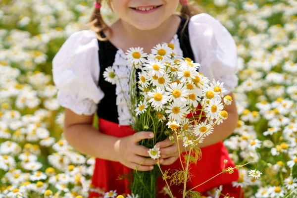 Fechar Pequena Menina Pré Escolar Campo Flores Margarida Criança Feliz — Fotografia de Stock