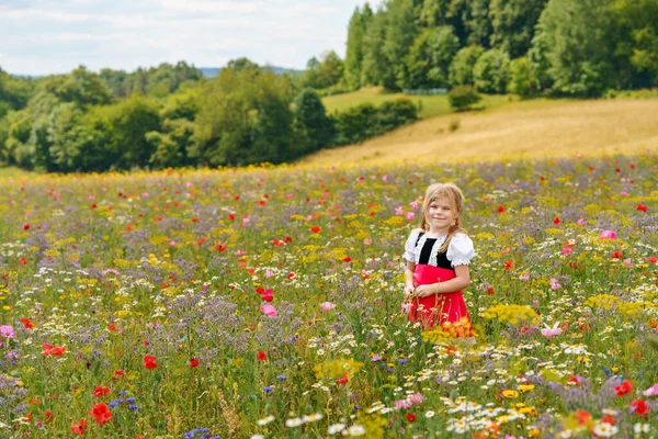 Little Preschool Girl Wildflower Field Cute Happy Child Red Riding — Stock fotografie