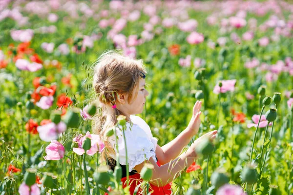 Little Preschool Girl Poppy Field Cute Happy Child Red Riding — Stock fotografie