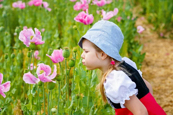 Uma Menina Pré Escolar Campo Papoula Criança Feliz Bonito Vestido — Fotografia de Stock