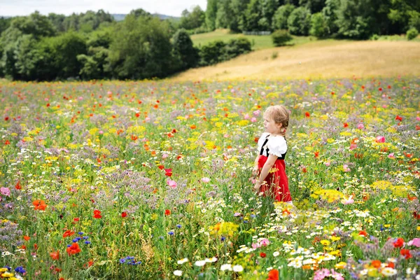 Little Preschool Girl Wildflower Field Cute Happy Child Red Riding — Stockfoto