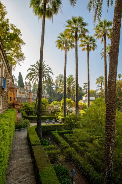 Schöner Öffentlicher Garten Alcazar Sevilla Palast Sommer Andalusien — Stockfoto