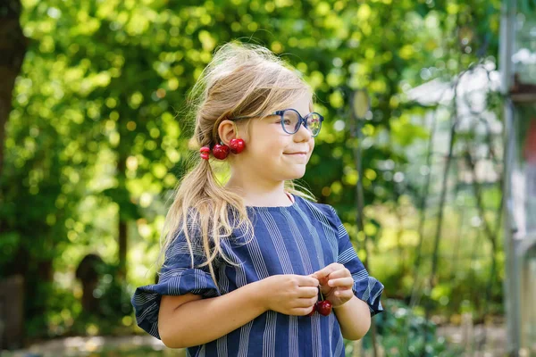 Little Preschool Girl Picking Eating Ripe Cherries Tree Garden Happy — Zdjęcie stockowe