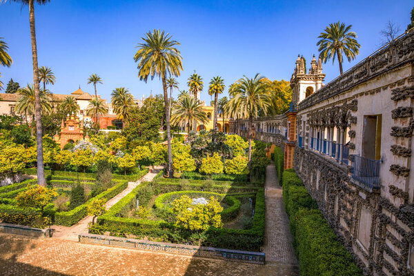 Beautiful formal public garden inside Alcazar Seville palace in summertime in Andalusia.
