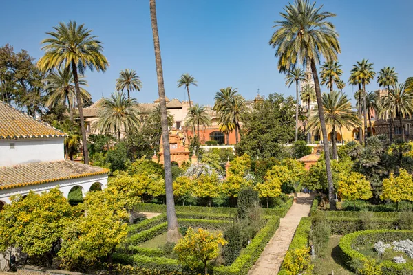 Vacker Formell Offentlig Trädgård Alcazar Sevilla Palats Sommaren Andalusien — Stockfoto