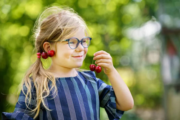 Little Preschool Girl Picking Eating Ripe Cherries Tree Garden Happy — Stock Fotó