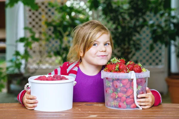 Sağlıklı Çilek Ahududu Yiyen Küçük Mutlu Anaokulu Kızının Portresi Bahçeden — Stok fotoğraf