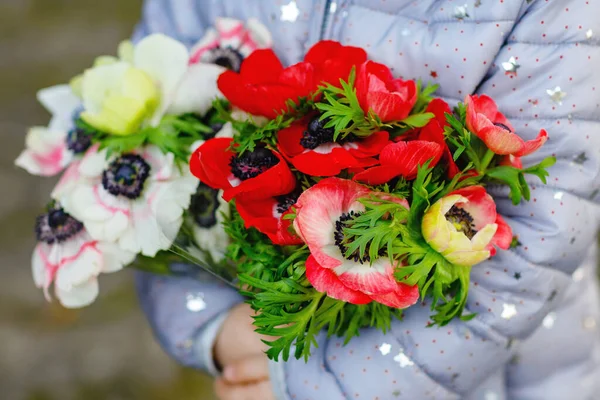 Closeup Little Toddler Lovely Girl Hands Red White Ranunculus Flowers — Stock Photo, Image